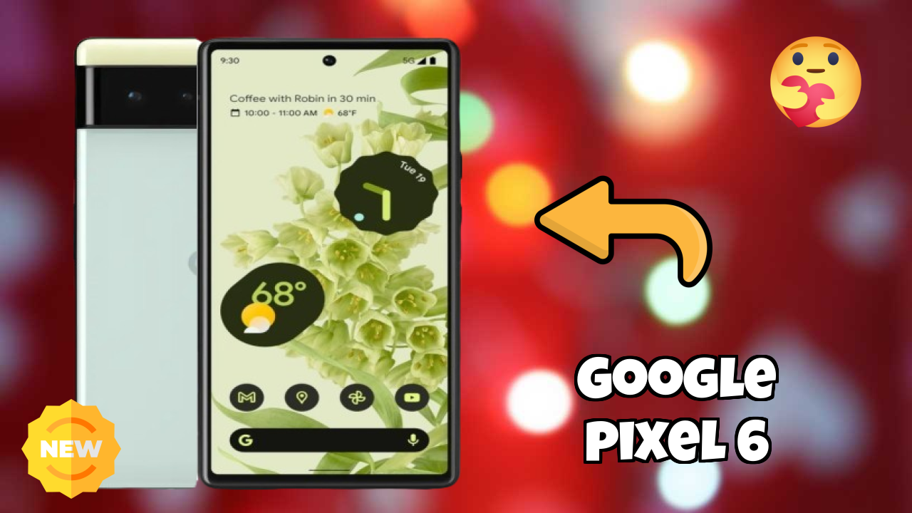 Google Pixel 6 Camera Review: 50 MP + 12 MP Rear Camera Photo Quality